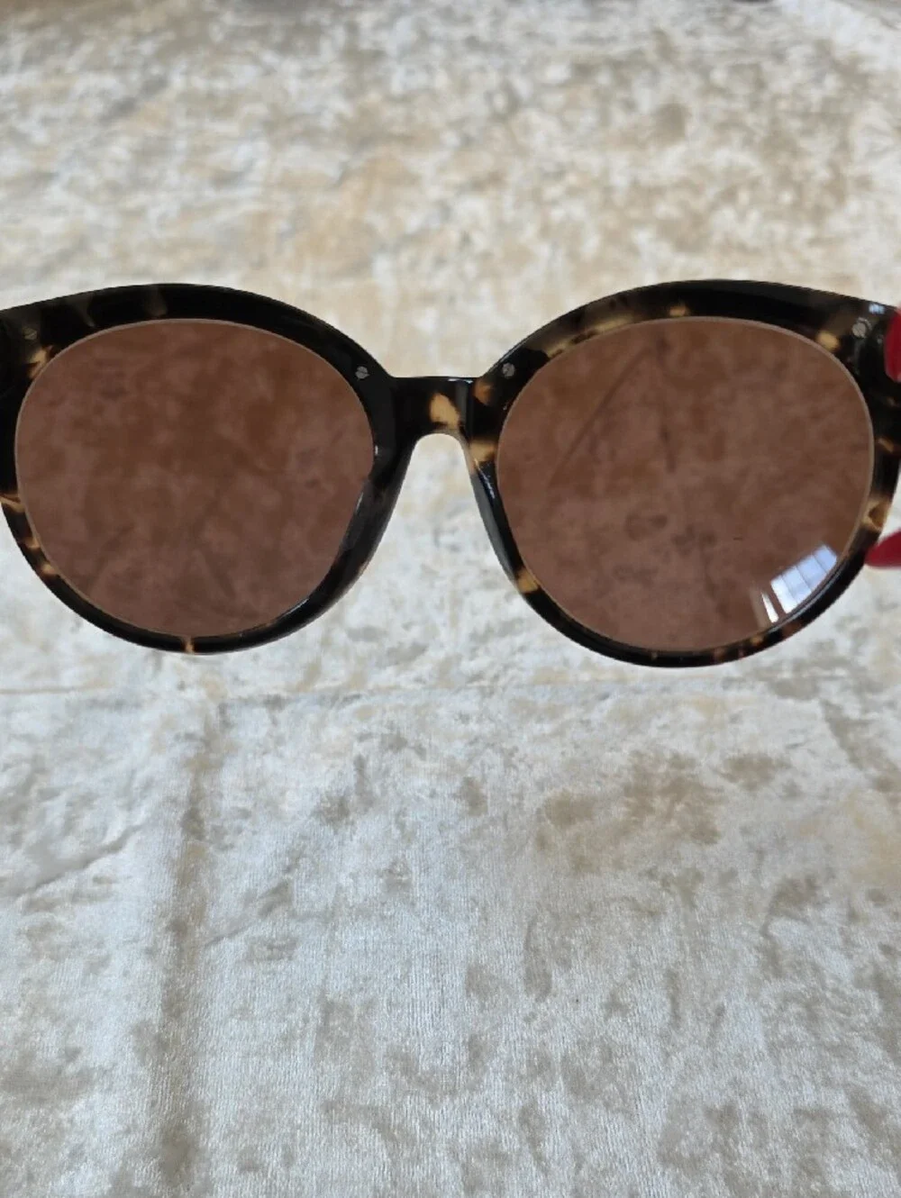 Brighton Sydney Tortoiseshell Sunglasses with Brown Lenses - Picture 5 of 13